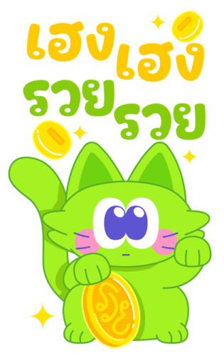Sawasdee Cat สวัสดีแคท รูปที่ 9