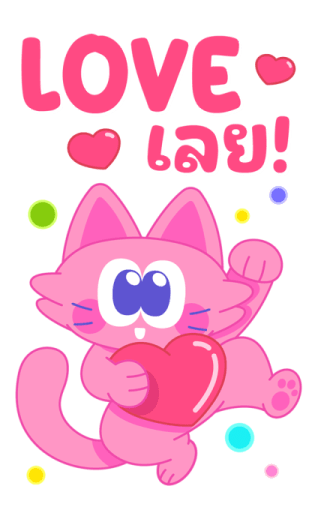 Sawasdee Cat สวัสดีแคท รูปที่ 11