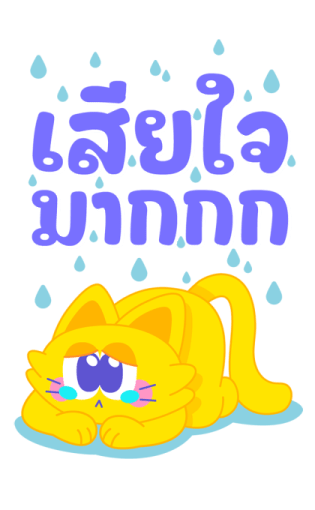Sawasdee Cat สวัสดีแคท รูปที่ 15