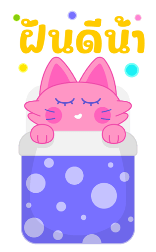 Sawasdee Cat สวัสดีแคท รูปที่ 16