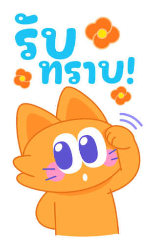 Sawasdee Cat สวัสดีแคท รูปที่ 17