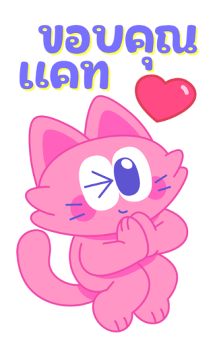 Sawasdee Cat สวัสดีแคท รูปที่ 18