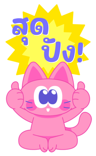 Sawasdee Cat สวัสดีแคท รูปที่ 22