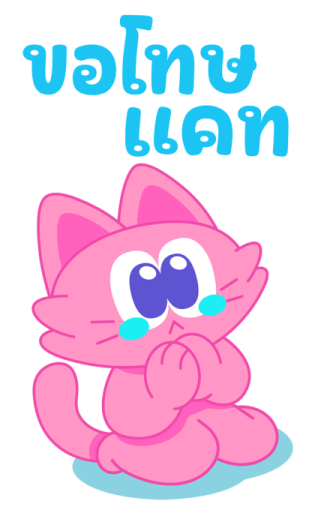 Sawasdee Cat สวัสดีแคท รูปที่ 23