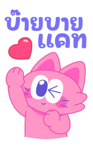 Sawasdee Cat สวัสดีแคท รูปที่ 24