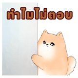 826845537