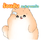 826845554