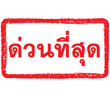 ลายที่ 11