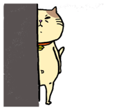 826868223