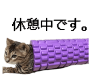 826870884