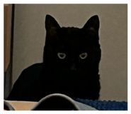 826871173