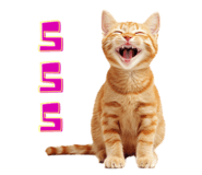 826887874