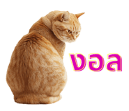 826887887