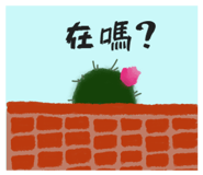 826901626