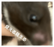 826909676