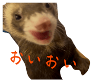 826912571