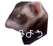 826912574