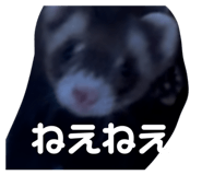 826912578