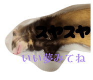 826912584