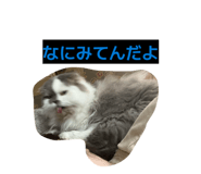826918130