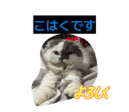 826918132