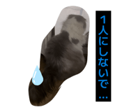 826918134