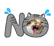 826921544