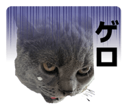 826922981