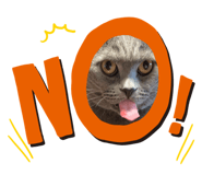 826922992