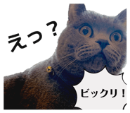 826923005