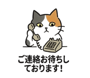 826966246