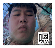 826984619