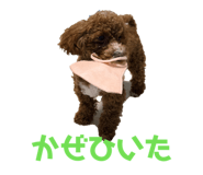 826998293