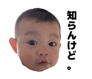 826998608