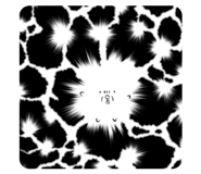 827005241