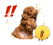 827010677