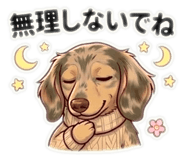 827011436