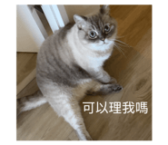 827015111