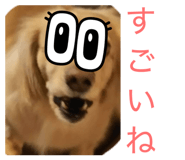 827025690