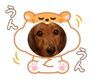 827025699