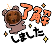 827025703