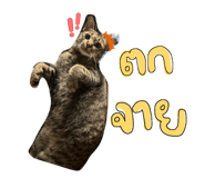 827025738
