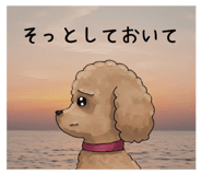 827032069