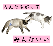 827032865