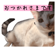 827032869