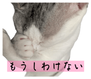 827032870
