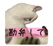 827032872