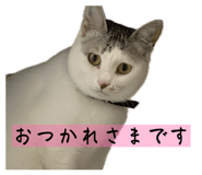 827032878