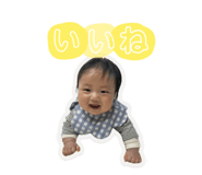 827043800