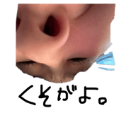 827067386